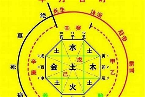 喜神是金|八字的喜用神与忌神详解